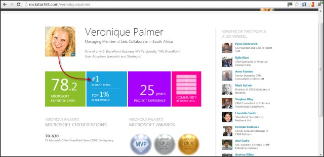 Rockstar Profile 2013-06-10 number 1