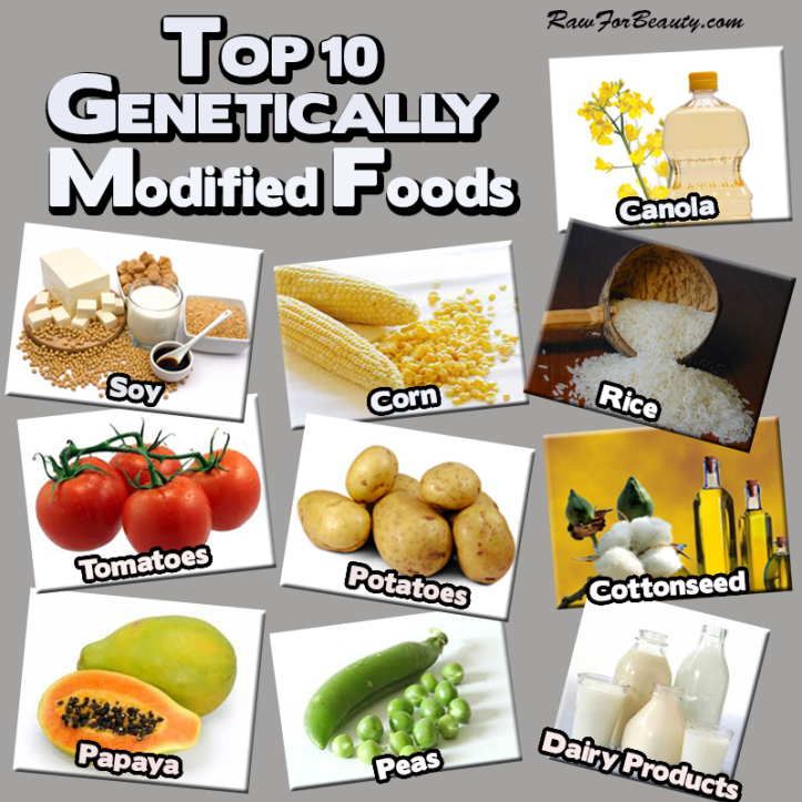 top 10 gmo foods