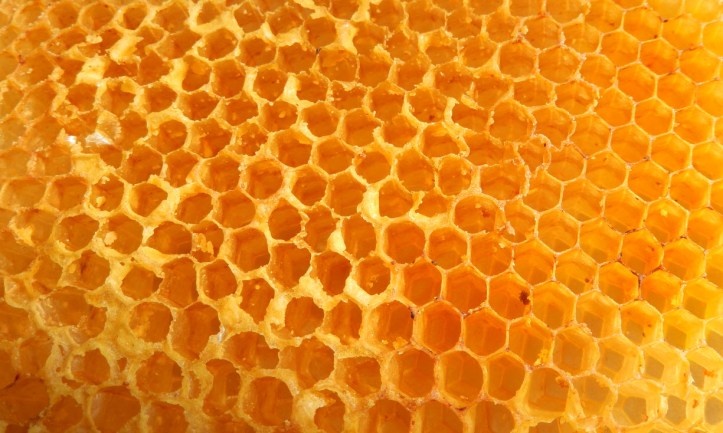 perfect honeycomb