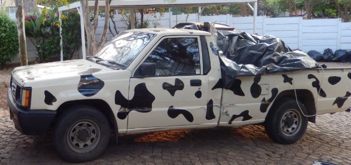 cow bakkie